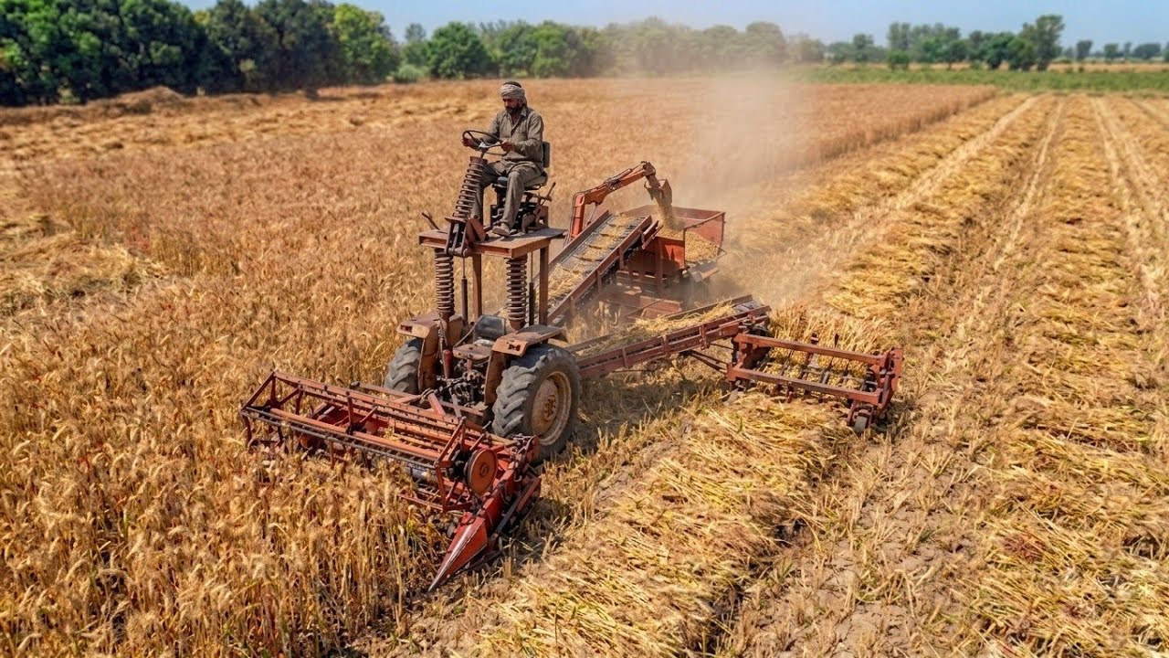 Old Fiat 480 Tractor Extreme Power on Wheat Reaper Machine | 4K Ultra HD