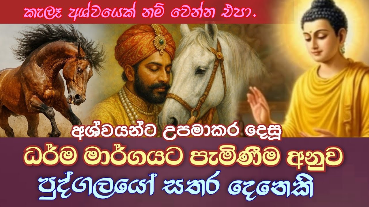 ධර්මයට යොමුවන ආකාරය අනුව පුද්ගලයෝ සතර දෙනෙකි. අශ්වයන්ට උපමා කෙරූ අස්සාජානීය පතෝද සූත්‍රය|#lordbuddha