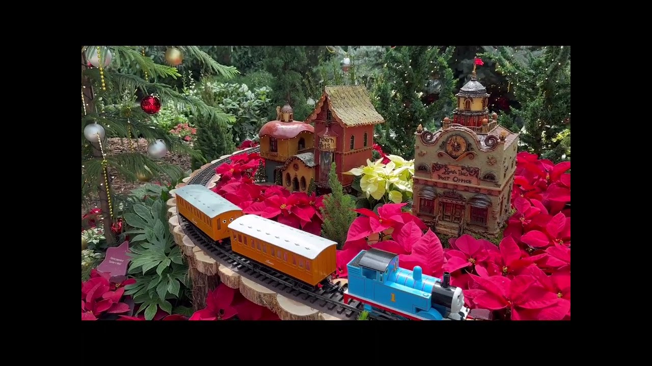 Seminar at AIA Tampines, Satay by the Bay, 新加坡🇸🇬MRT at Flower 🌹 Dome, Cloud ☁️ Forest 🌳上海生煎包 at MBS