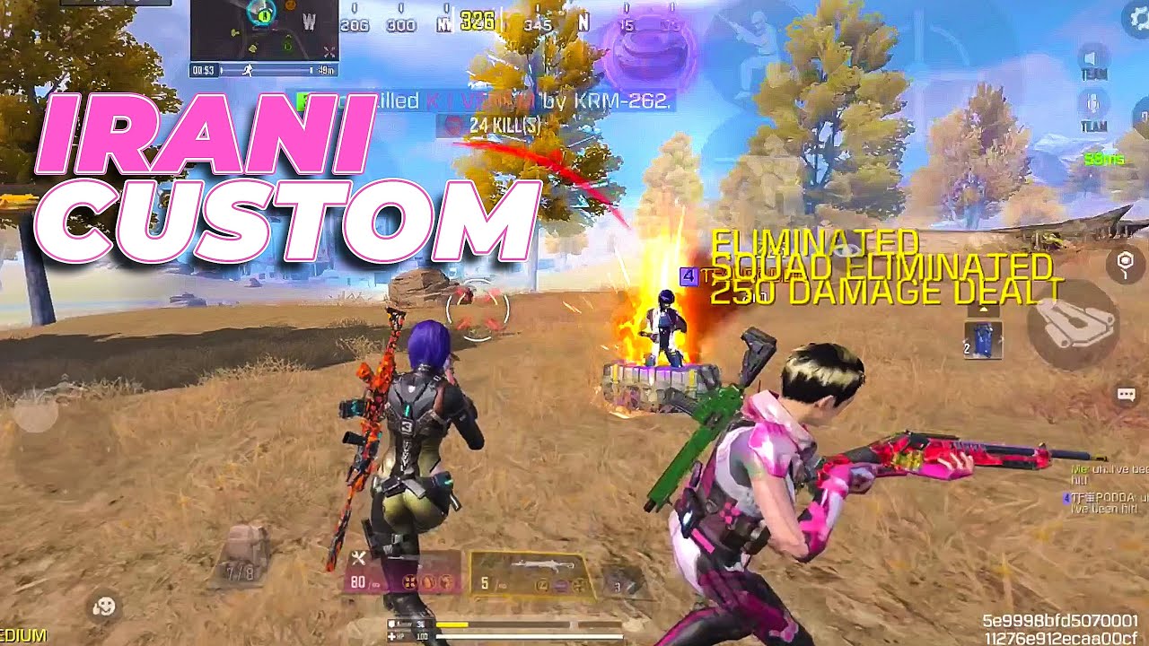 Playing with IRANI Subscriber 🥰 in Custom Room | 24 SOLO Kills