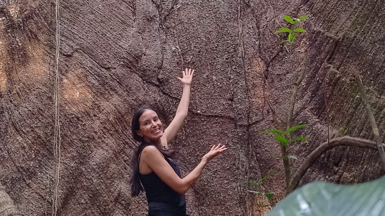 Trilha na floresta! 