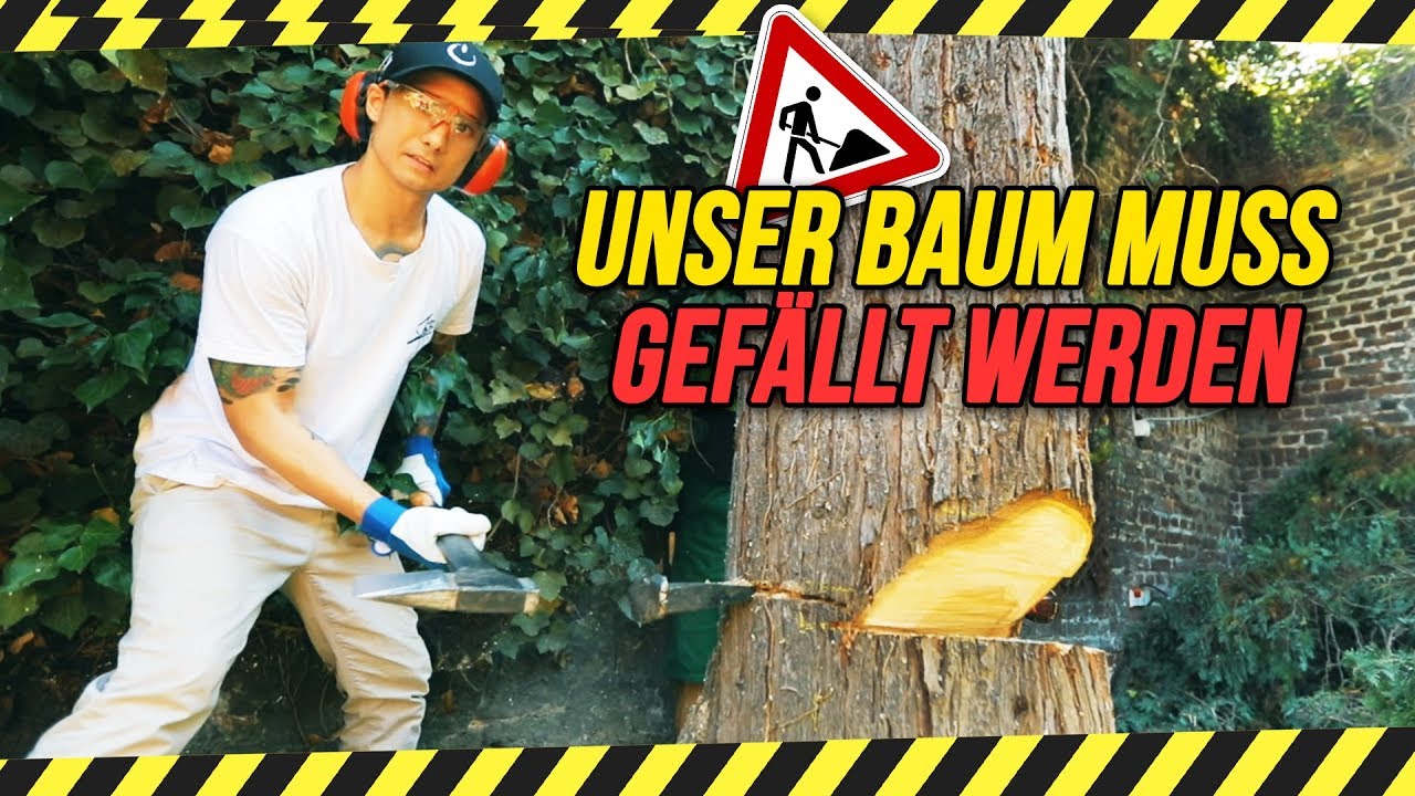 VORSICHT BAUM FÄLLT! ... leider (Achtung, sehr männliches Video)