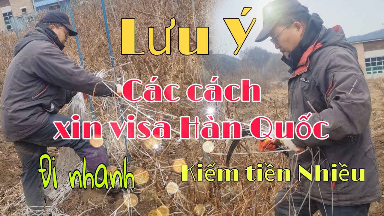 C&aacute;c C&aacute;ch Xin Visa H&agrave;n Quốc Bạn nhất định phải Biết ~ Đi H&agrave;n Nhanh, Kiếm Tiền Giỏi