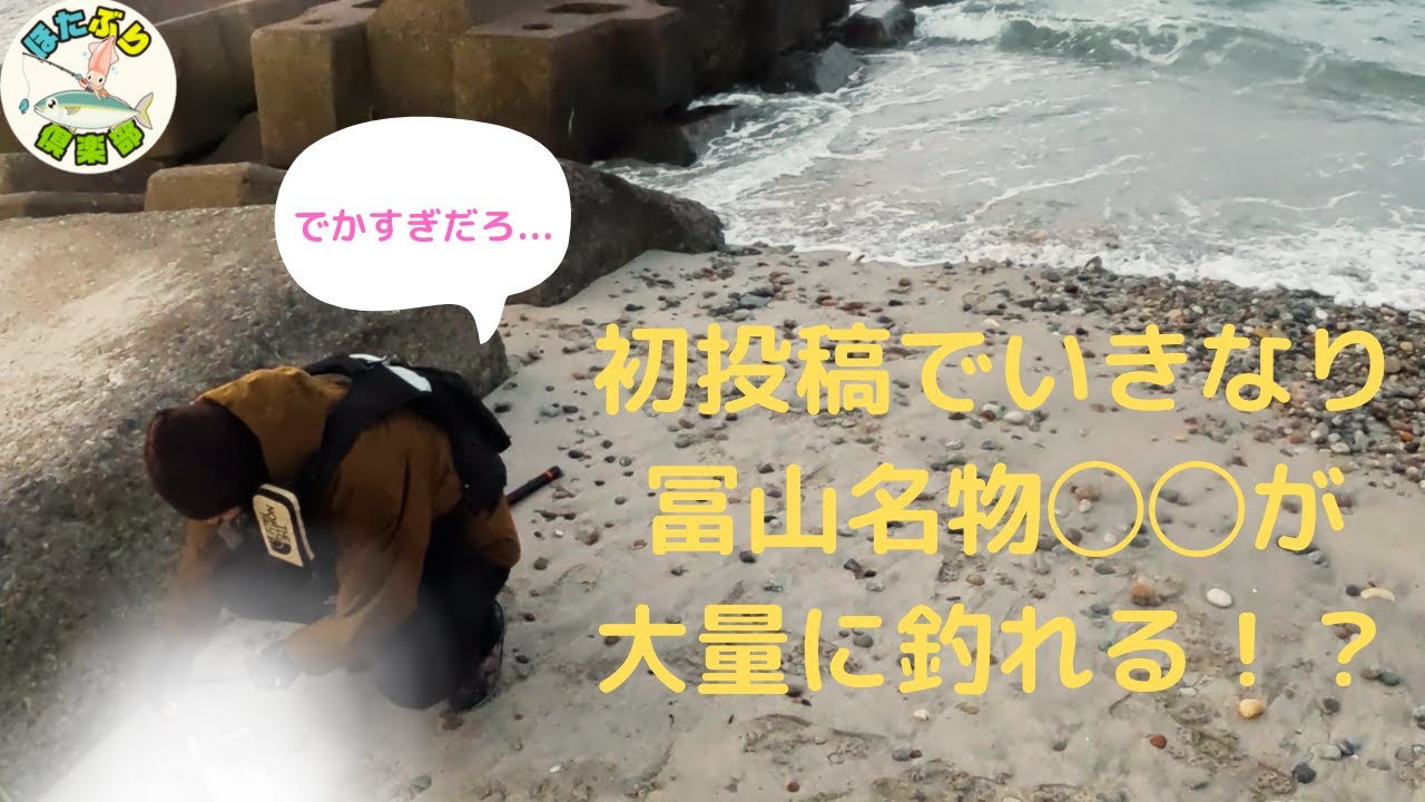 初投稿で富山湾名物のブリよりも高級な○○が釣れる！