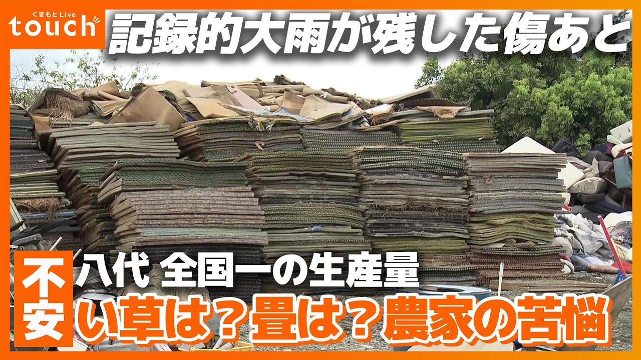 記録的大雨で被災した八代市の「い草」農家〜全国一の生産地への影響は？〜