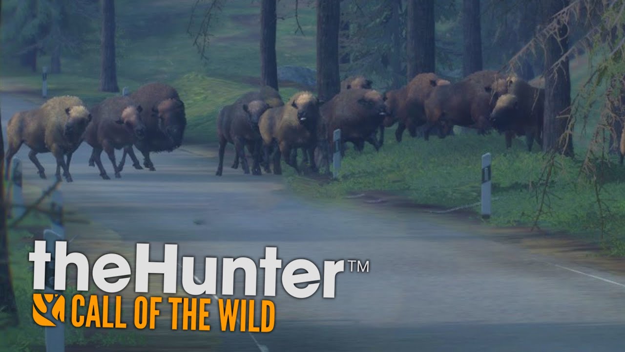 POBIŁEM REKORD! 20 BIZON&Oacute;W! (theHunter: Call of the Wild #17)