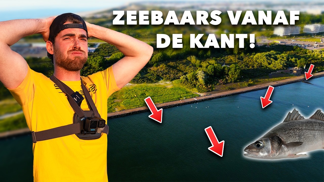 LEER vissen op ZEEBAARS vanaf de KANT van een EXPERT!