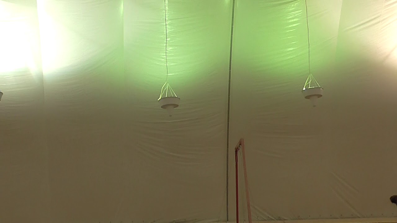 Pizina Anastasiya FX