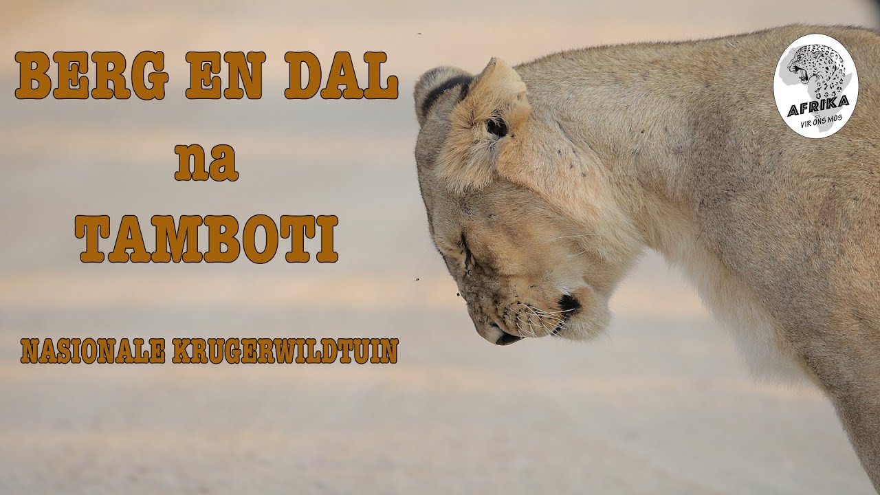 BERG EN DAL NA TAMBOTI
