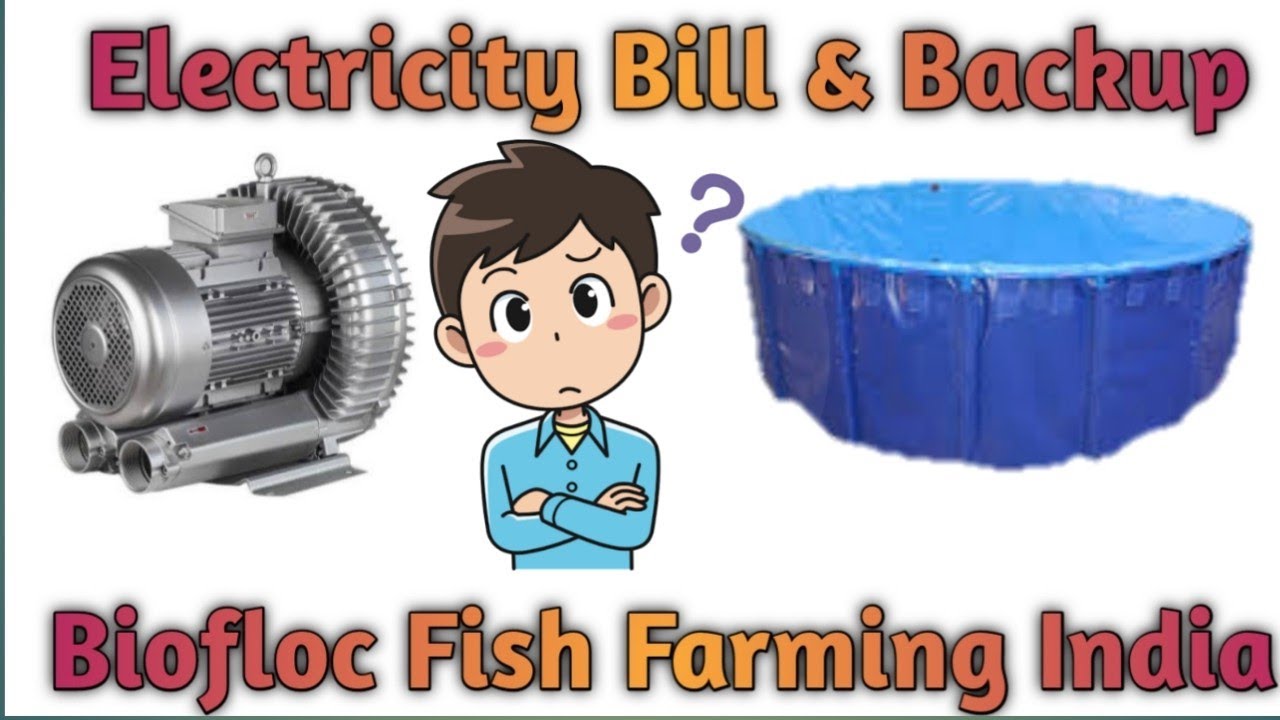 Electricity bill & Back Up For BioFloc Fish Farming !! Biofloc Fish Farming India