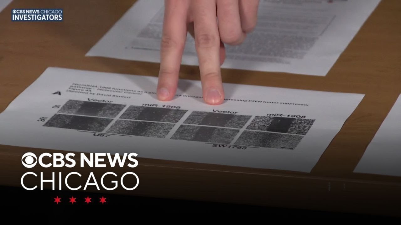 Fake scientific papers are a growing problem, Northwestern U. researchers say