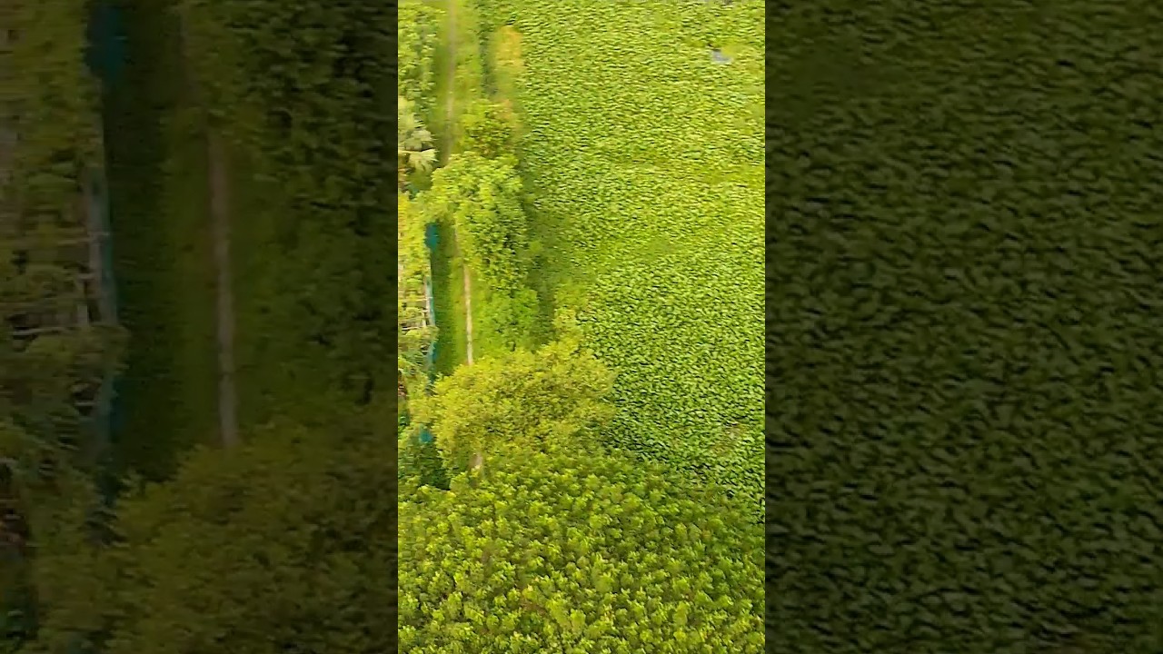 tongi #dronecapture #islamic #dronevideo  #halalcontent #azan #allah #dronevideography