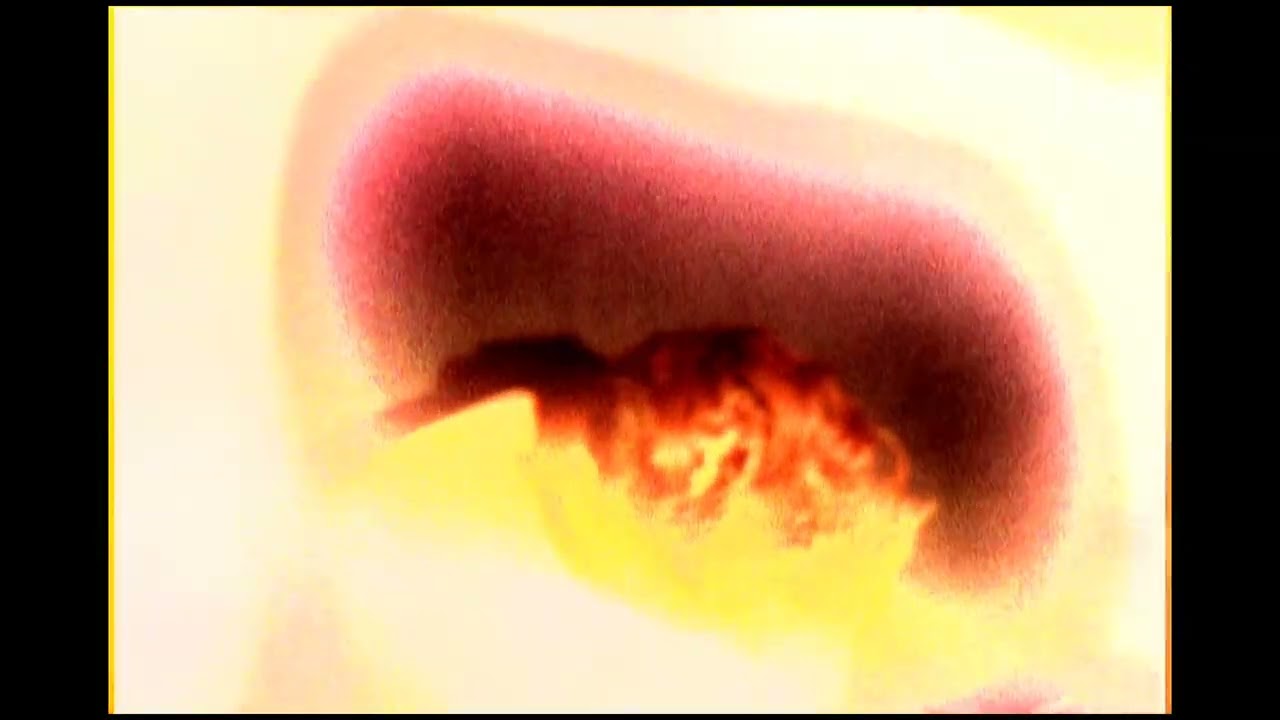 Tamaryn - Love Fade (Official Video)