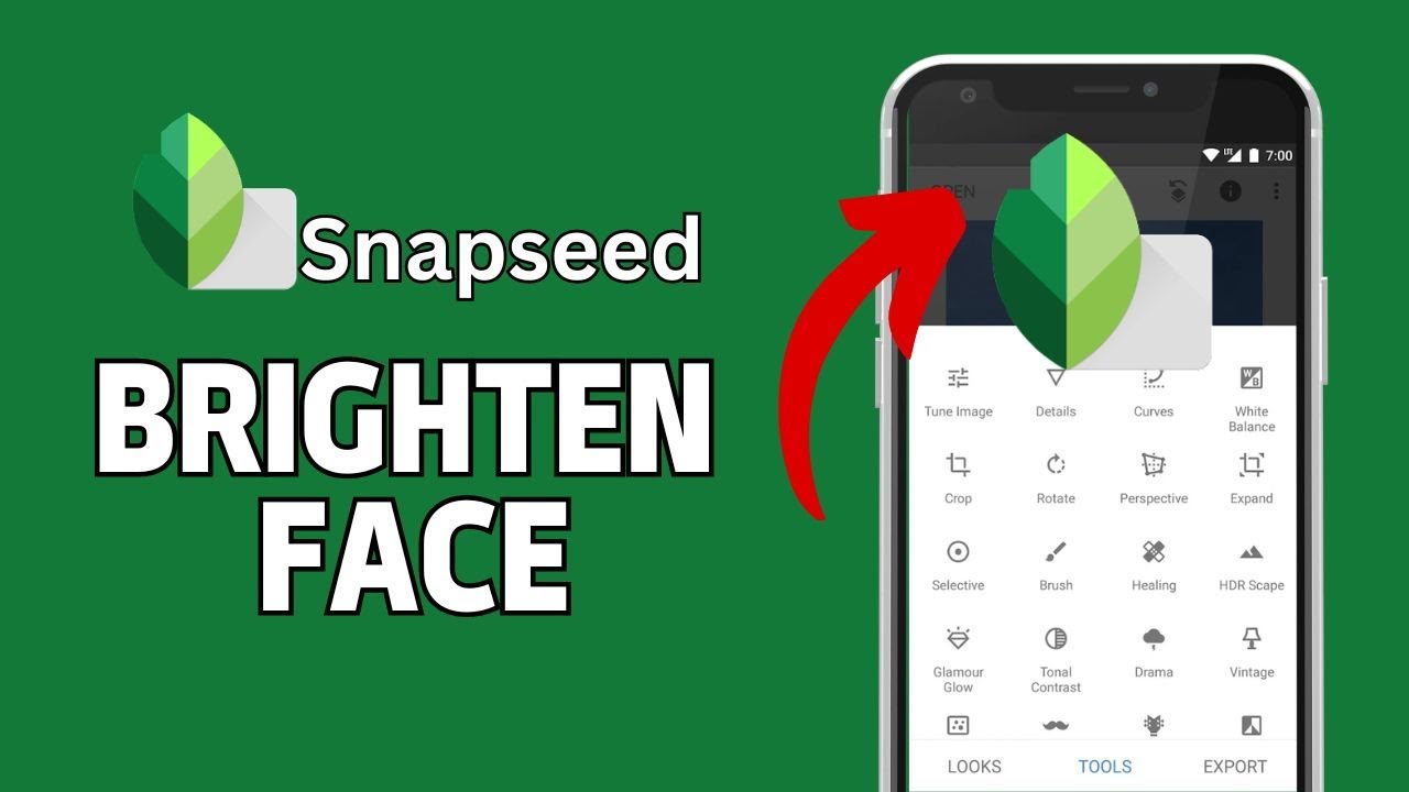 How to Brighten Face in Snapseed 2024?