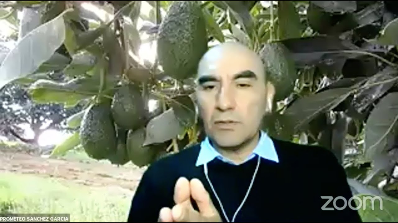 Conferencia Internacional: Nutrición Integral de Aguacate