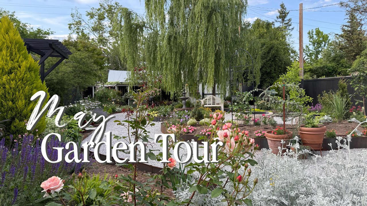 Cozy Cottage🌿 Garden Tour|| Visit Our Garden