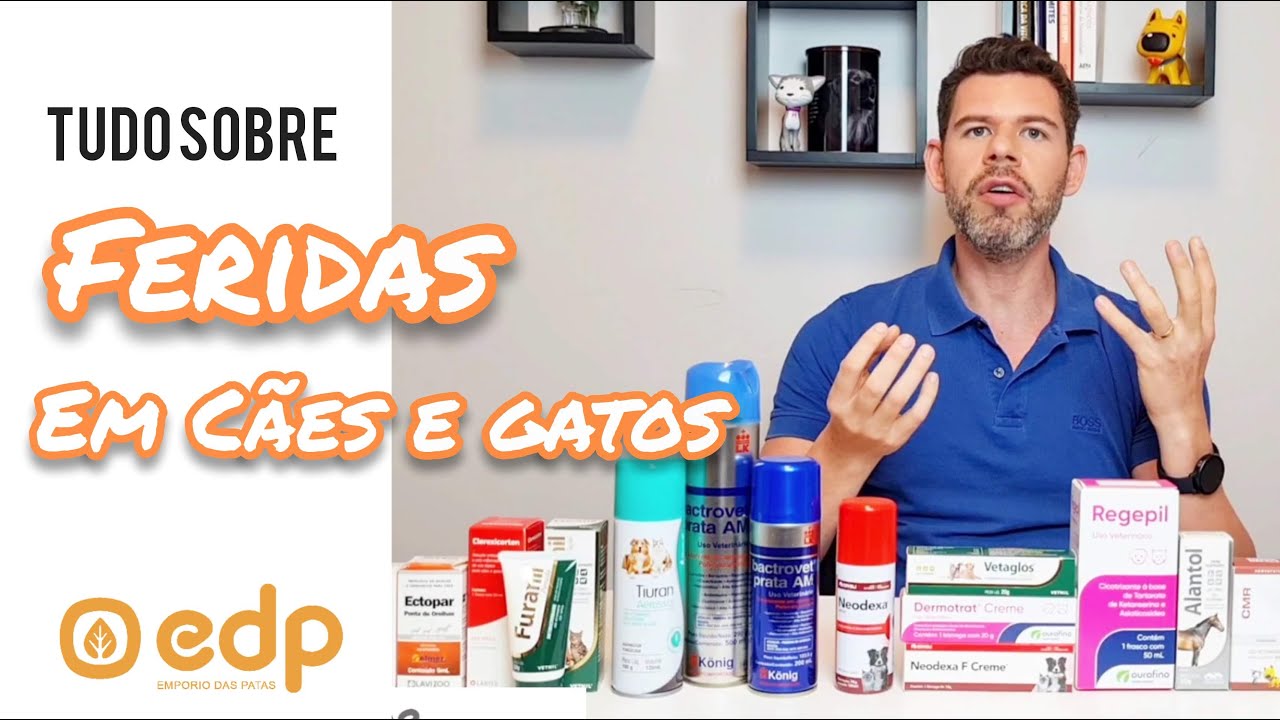 57 | COMO CURAR A FERIDA DO SEU CACHORRO OU GATO - FERIDA NAO CICATRIZA, COCEIRA, ALERGIA, OUVIDO