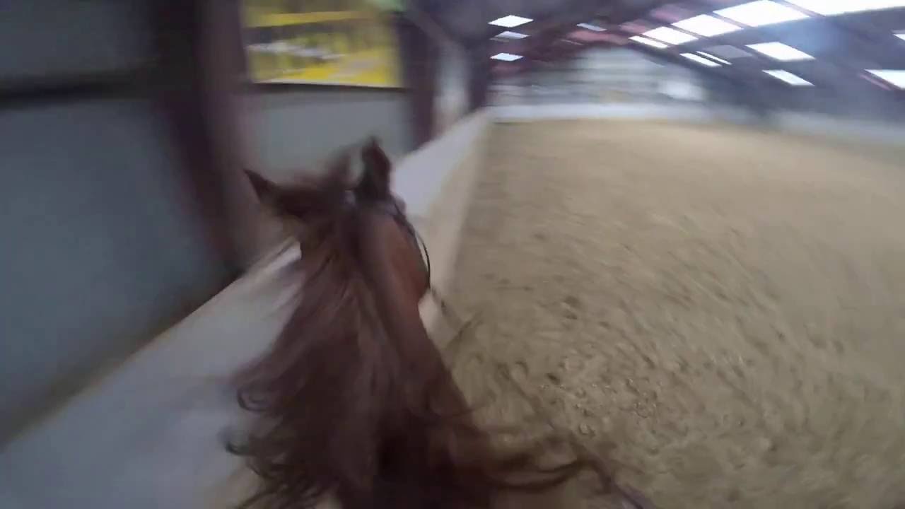 ** Styrt p&aring; Ascot **