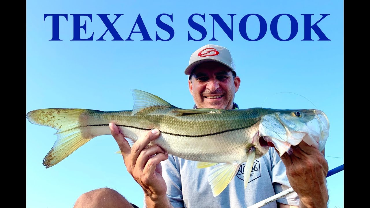 BIG SOUTH TEXAS SNOOK || ROCKPORT TEXAS || Walking and Throwing
