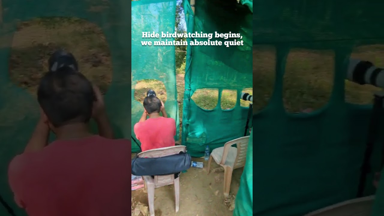 Inside a Bird Hide: Thattekad, Kerala