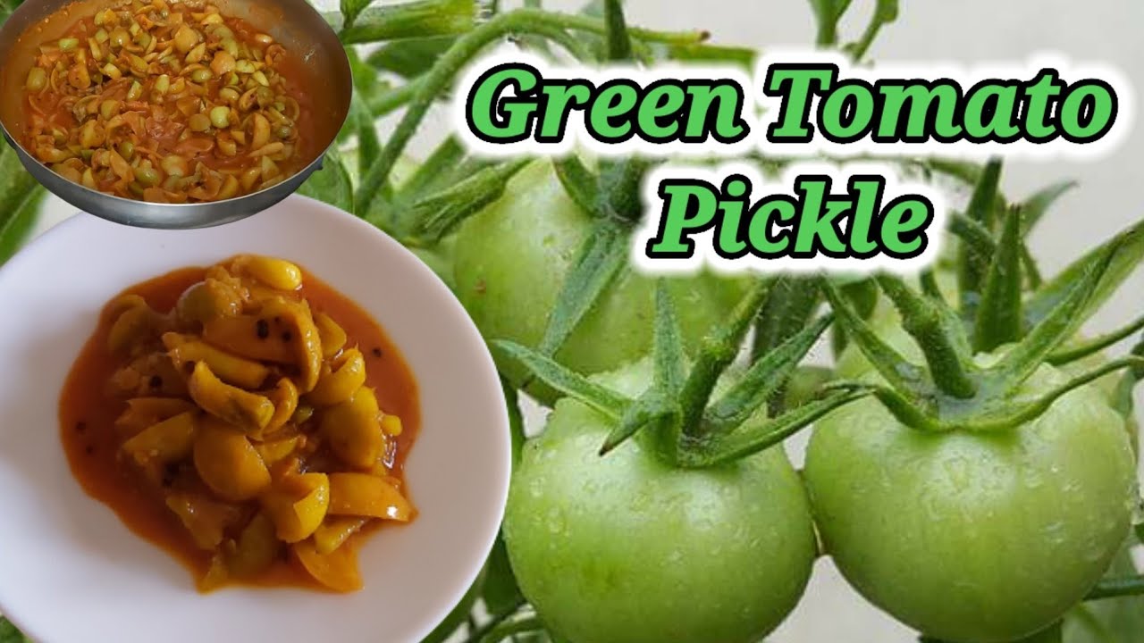 Green Tomato Pickle  (Tomato Pickle Recipe) Video | Dhanya's Garden Art
