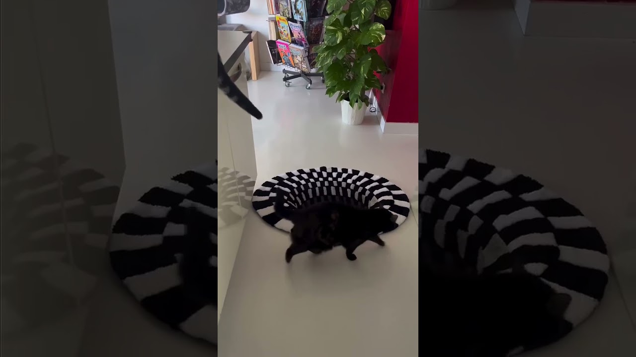 Cats vs Optical Illusion: They Fell for the Fake Hole! 😂🐱