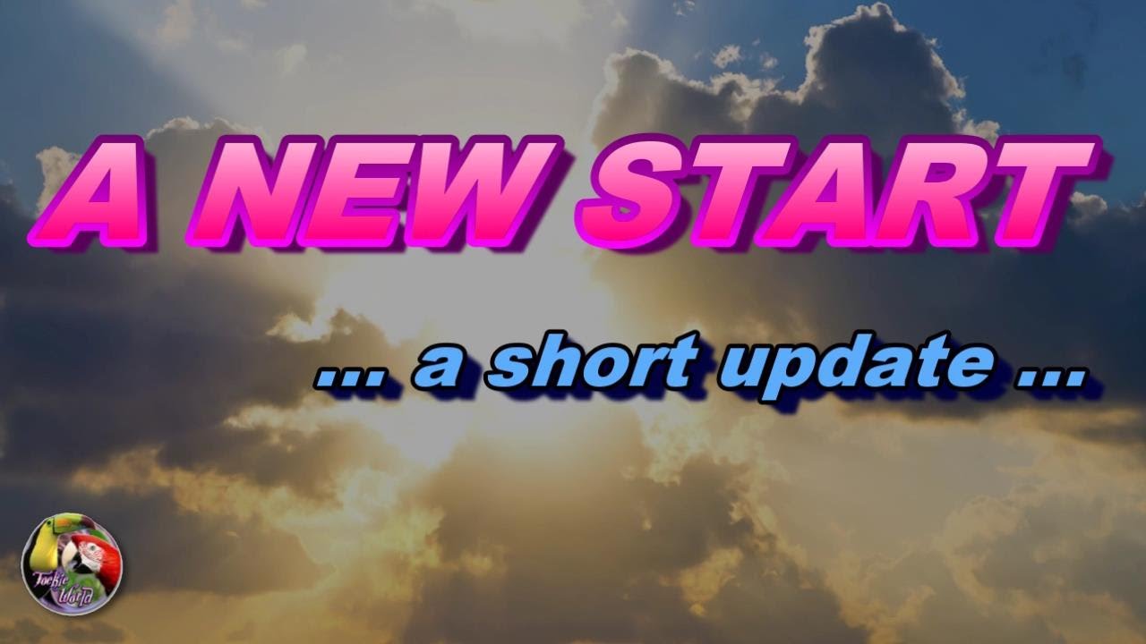 A NEW START  (1)  -  a short update