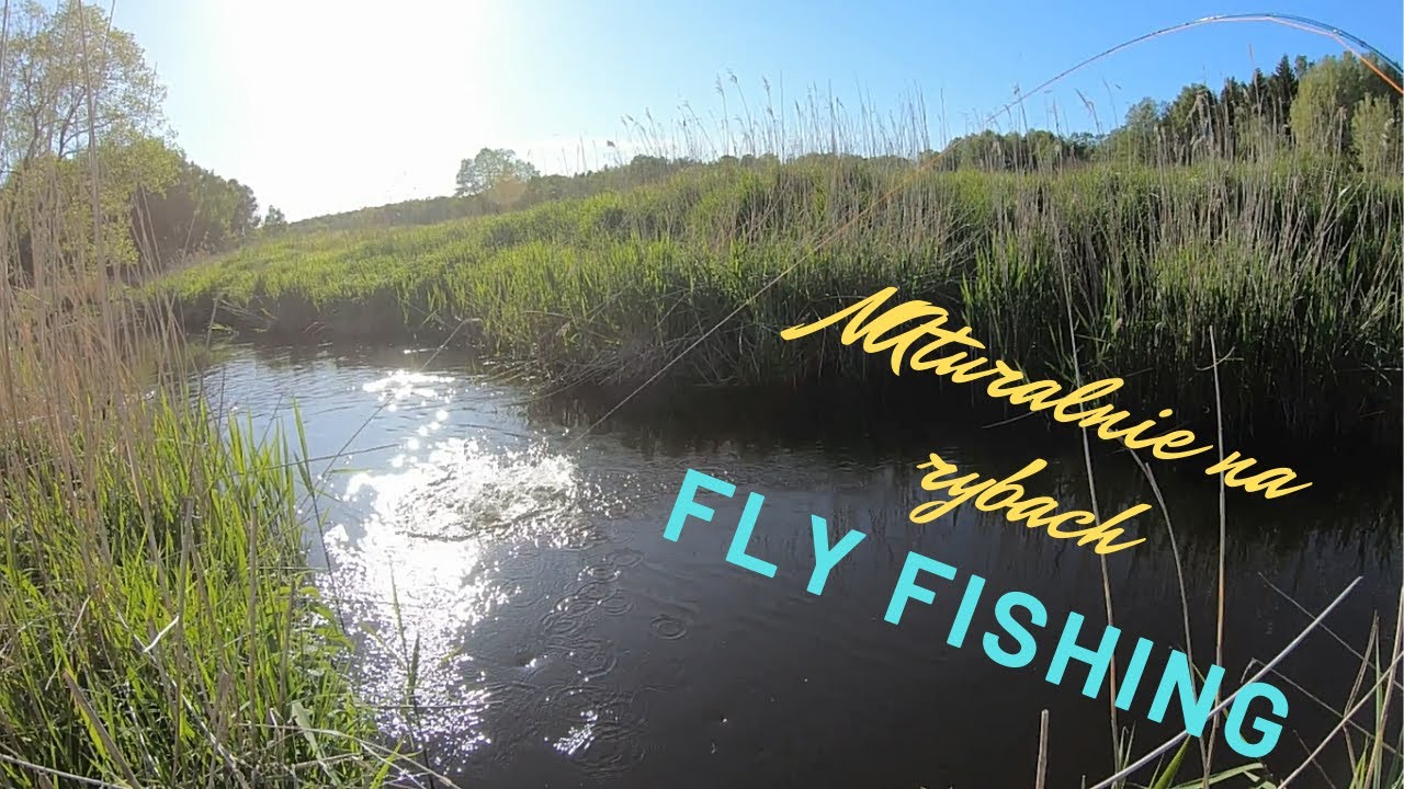 FLY FISHING 2020 - Pstrągi na muchę ostatnie dni jętki:)