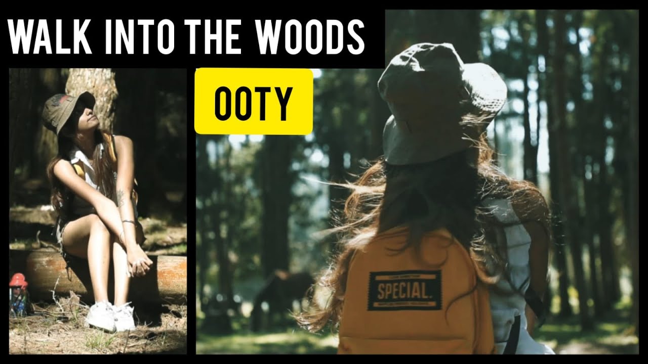 Exploring OOTY on my own | Walk into the woods