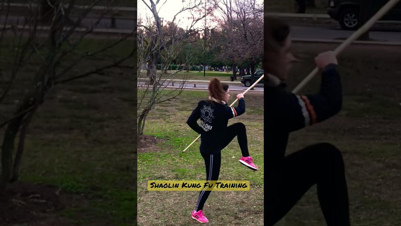 USA SHAOLIN TEMPLE ARGENTINA ☸️ | SHAOLIN KUNG FU TRAINING