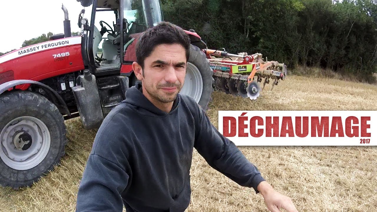 Déchaumage avec un matériel d'essai - 2017