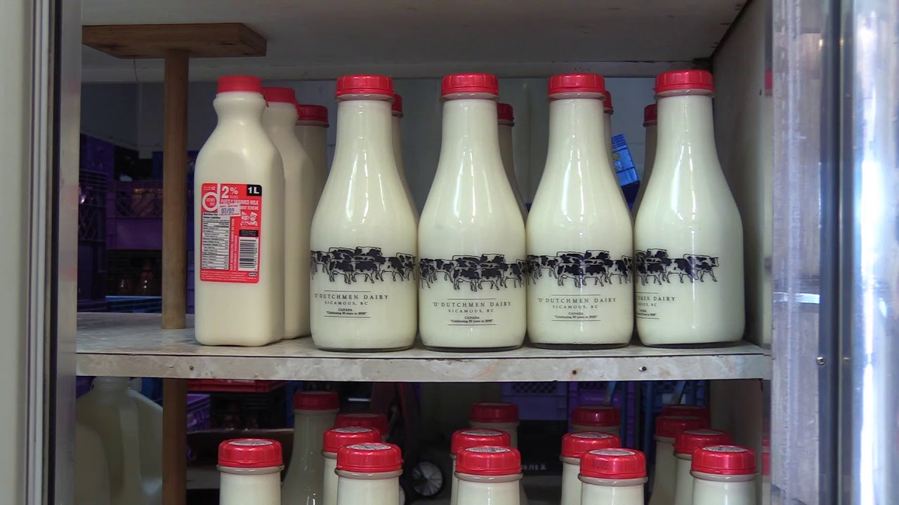 D Dutchmen Dairy Milk