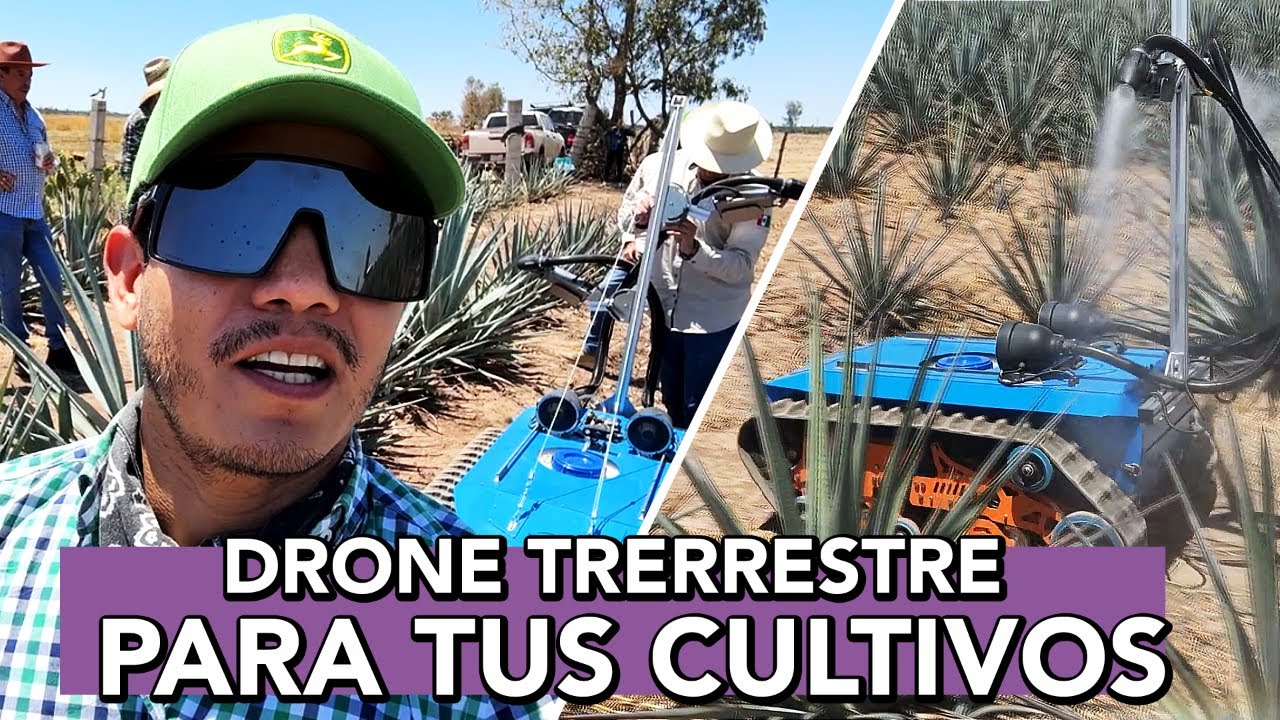 Drone Terrestre en CULTIVOS de Agave