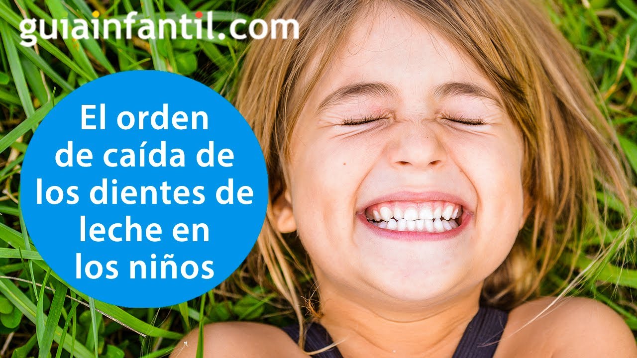 ¿En qué orden y a qué edad se caen dientes y muelas de los niños? | Cuidado dental de tu hijo