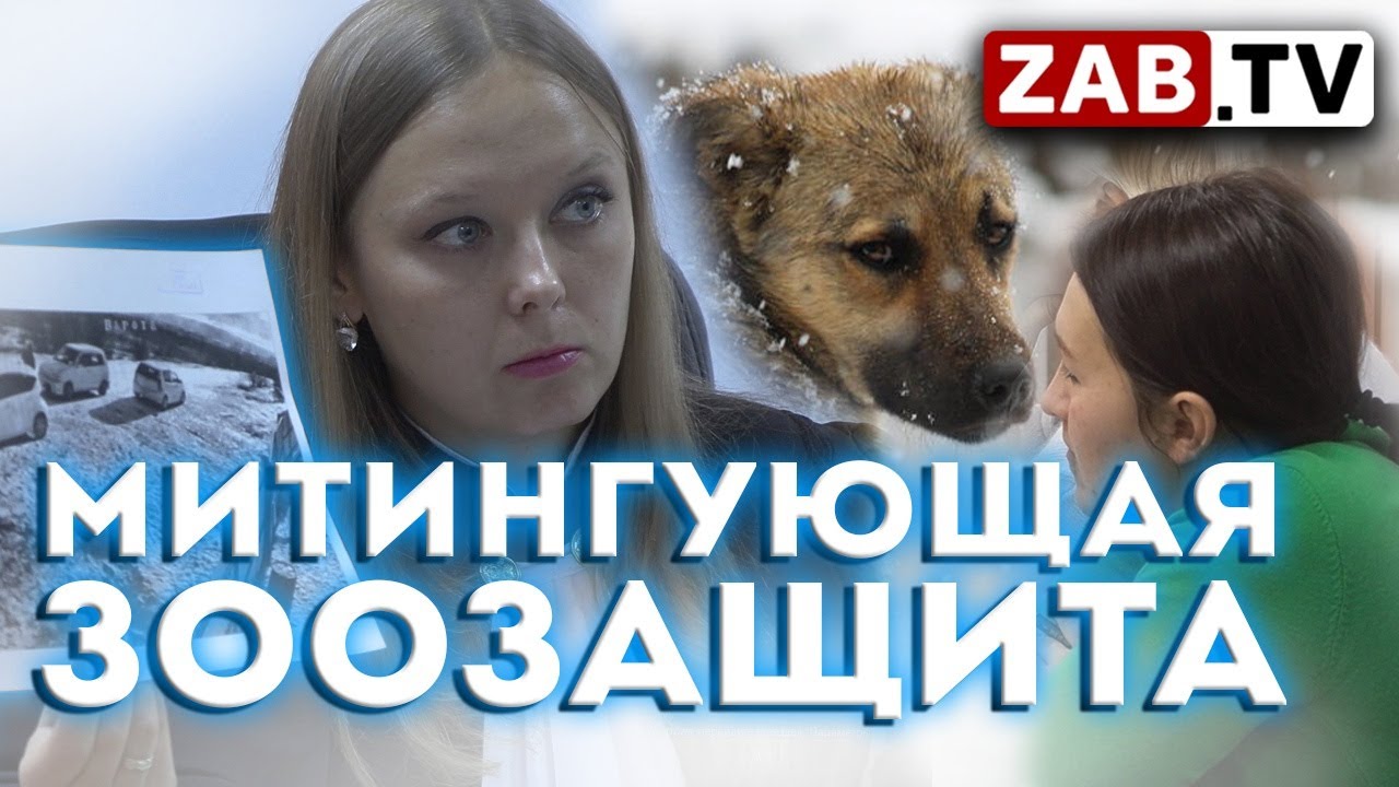 Зоозащитница из Читы получила штраф за скандал у приюта для собак