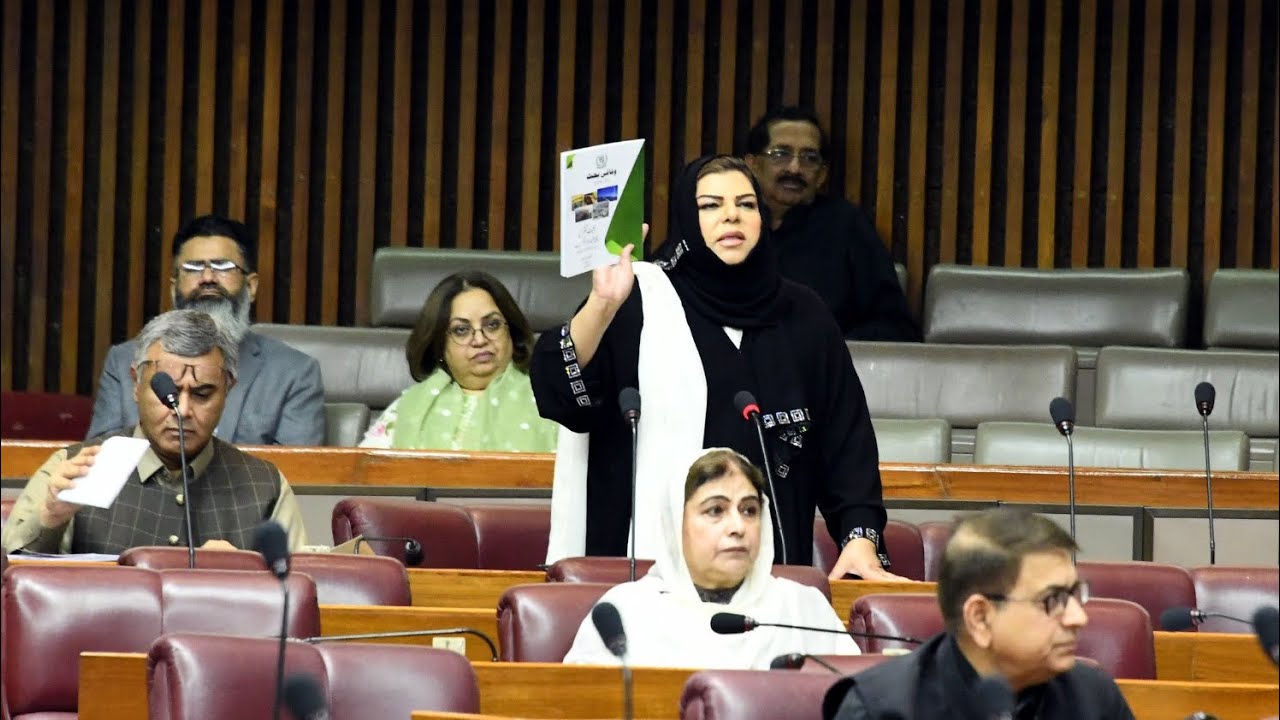 &lrm;سب بیچ دو‼️#IMF Wish List ‼️ Budget for the Fiscal Year 2024-2025 #BudgetSpeech @NaofPakistan  ​⁠