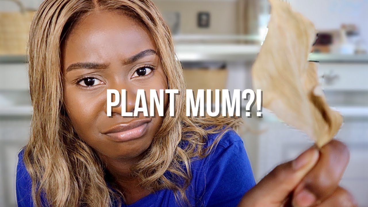 I KILLED MY PLANT IN 4 DAYS | PLANT MOM STRUGGLES BUT HEY, HERE ARE SOME TEACHABLE MOMENTS
