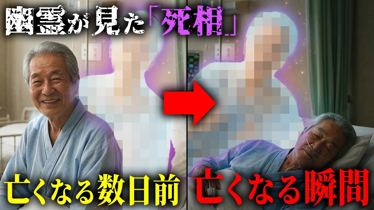 【新仮説】幽霊に「死相って分かる？」と聞いたら、「人は亡くなってからどのように幽霊になるのか」について新しい仮説が立って大興奮【心霊】