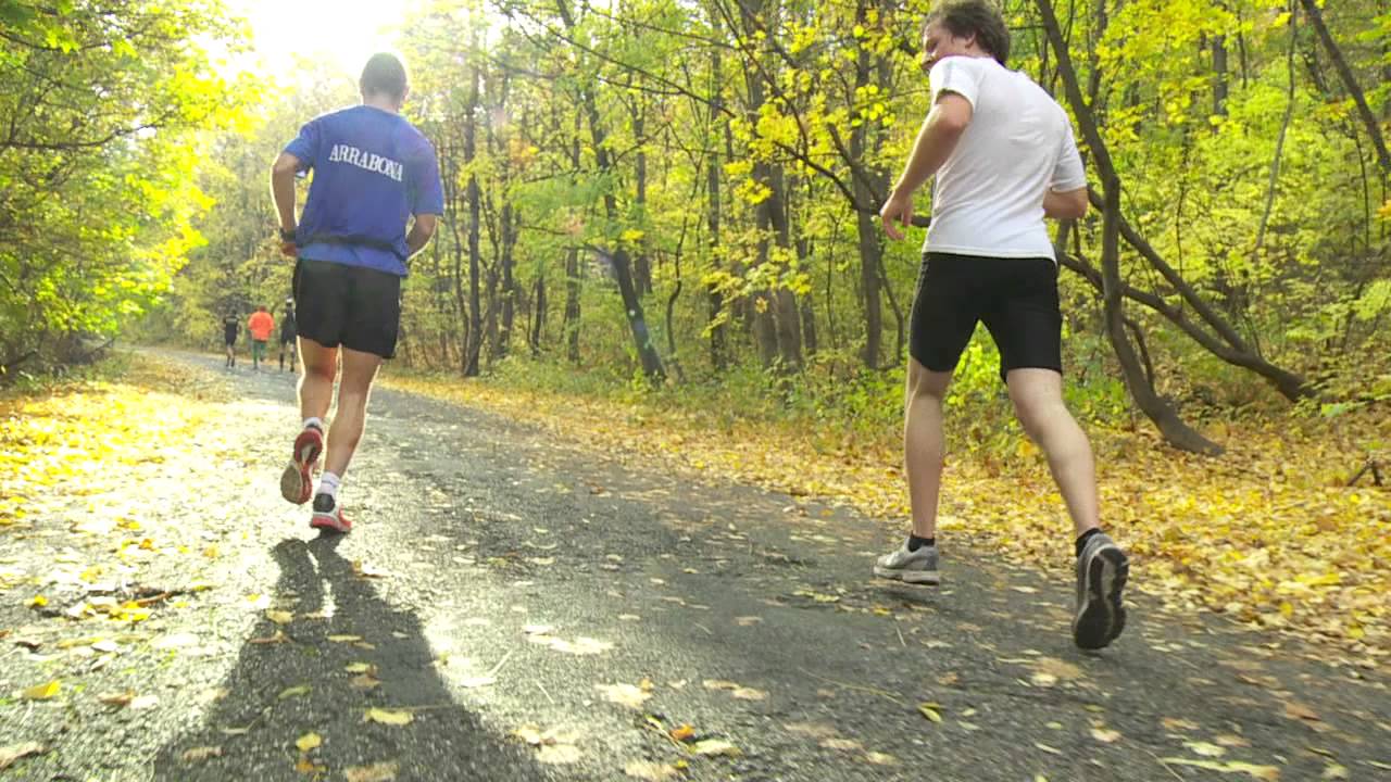Bécs Pozsony Budapest Ultramarathon BBU 2013