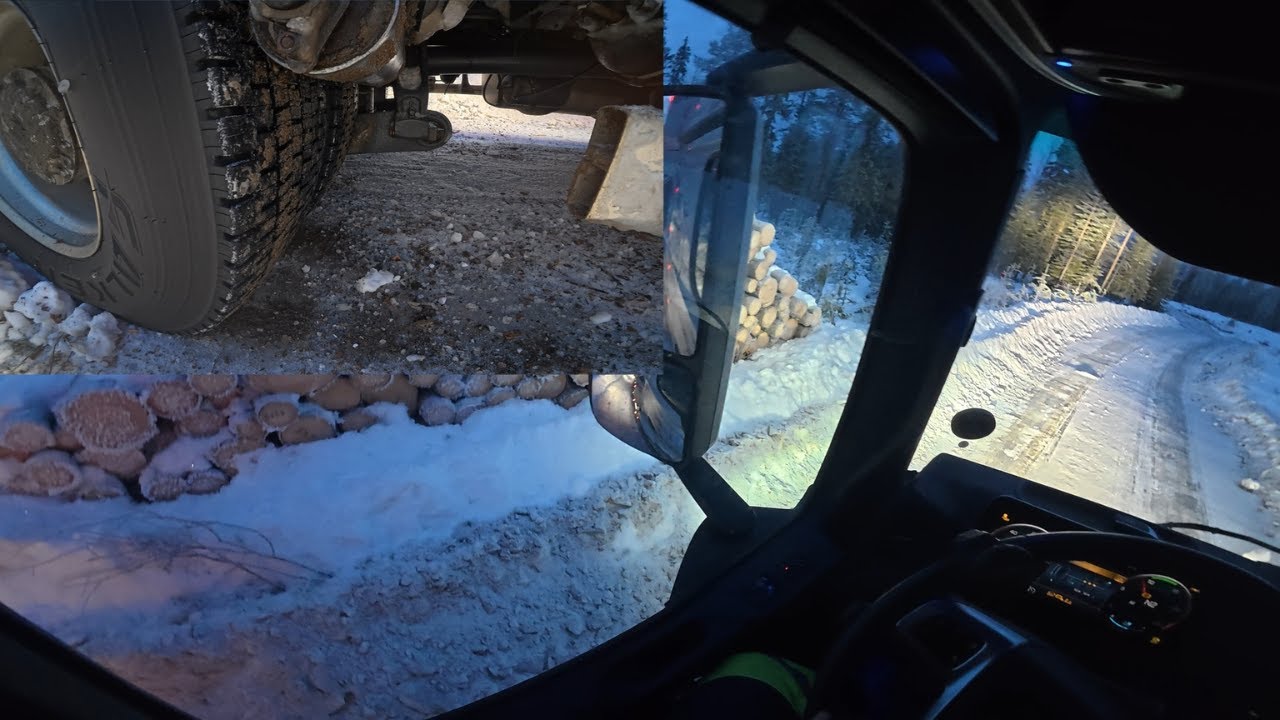 Icy Forest Road