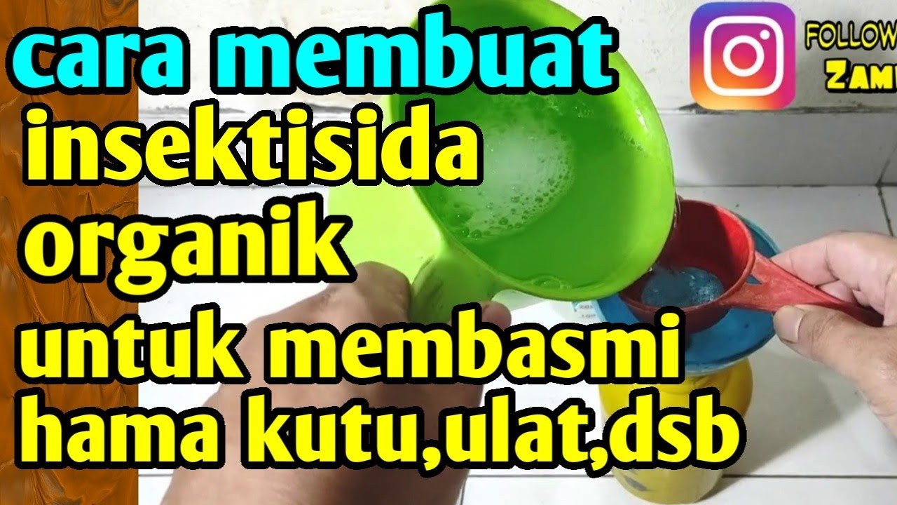 cara membuat insektisida organik untuk membasmi hama kutu,ulat,dsb