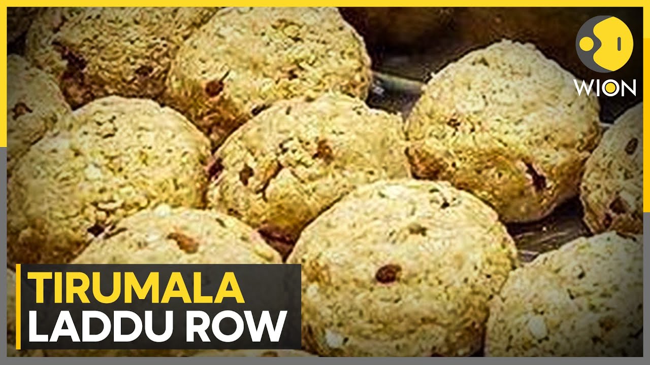 Tirumala 'Laddu' Row: AP Govt Sets Up Committee To Review Admin | WION News