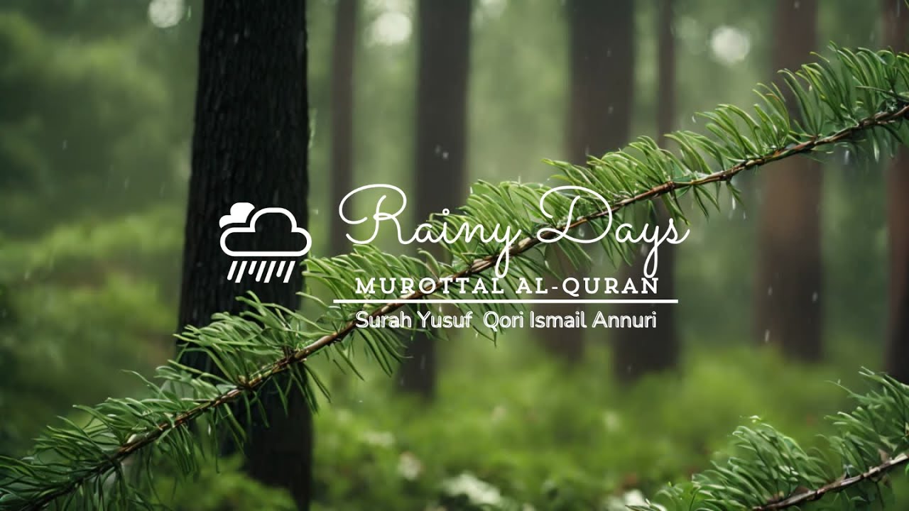 Murottal surah Yusuf Qori Ismail annuri | eliminate stress and anxiety #rainysleep #rainyrelaxation