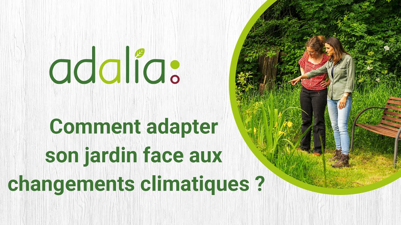 Comment adapter son jardin face aux changements climatiques ? avec Virginie Hess 🌱