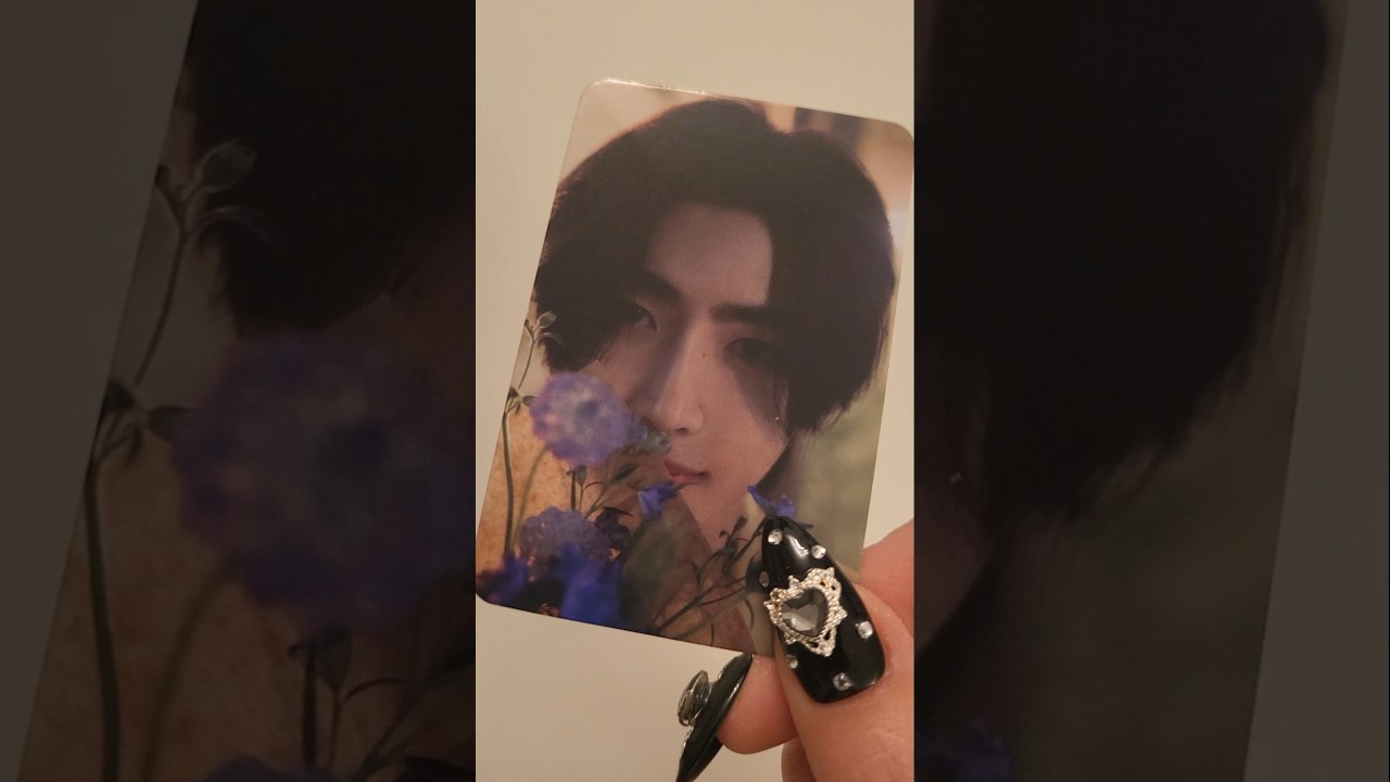Enhypen photocards 