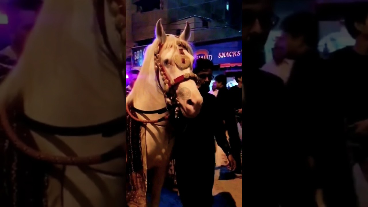 Han Mera Imam Hussain Nadeem Sarwar Noha 2024 Zuljanah videos #zuljana