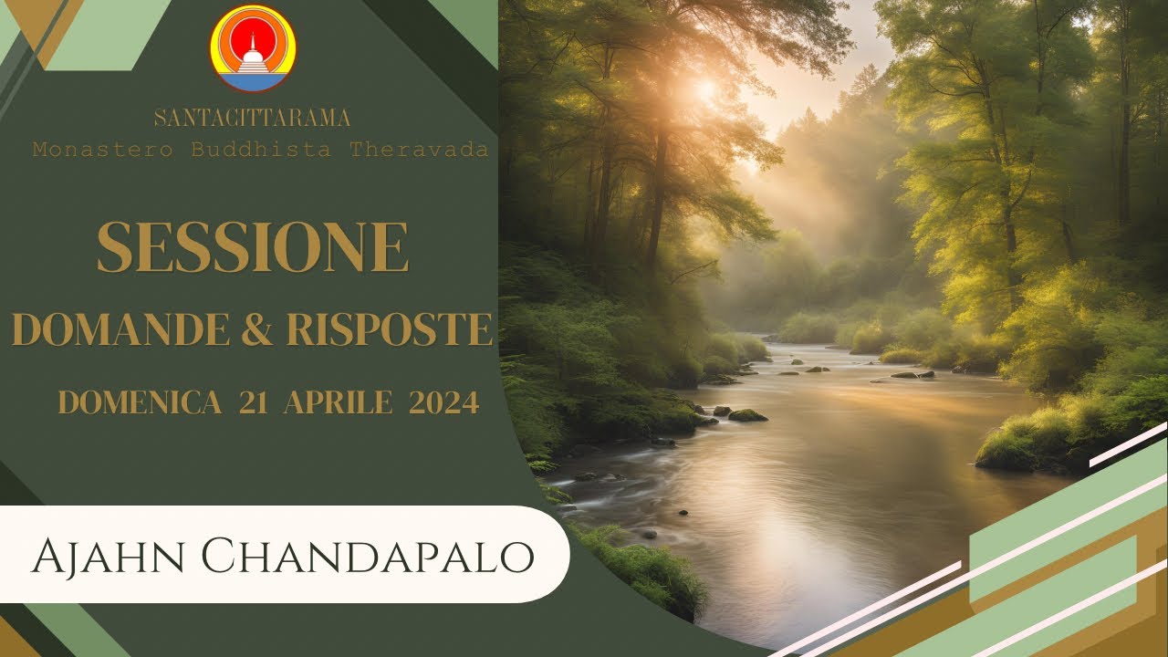 Ajahn Chandapalo - Dhamma Domande e Risposte [Domenica 21 Aprile 2024]