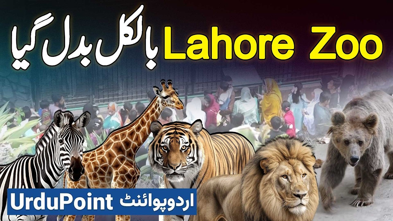 Lahore Zoo Mein Billions Rupees Ki Renovation Kar Ke New Animals And Birds Bhi Kharid Liye Gaye