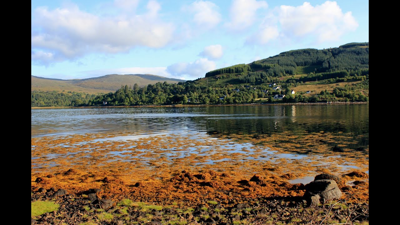 A summer trip to Loch Awe and Loch Teacuis.