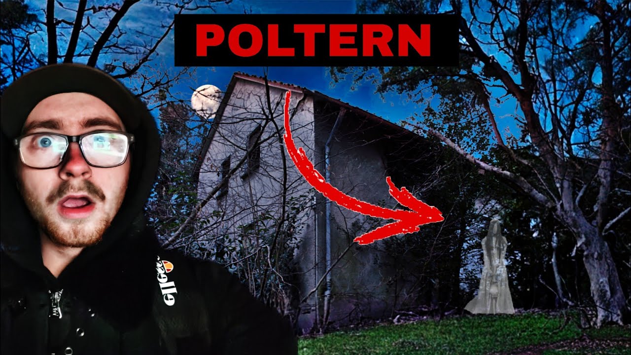 Katzenbälle reagieren auf unsere Fragen!👻😱